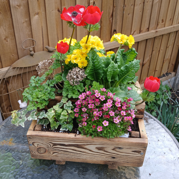 mothers-day-planter-600x600 mothers-day-planter-600x600